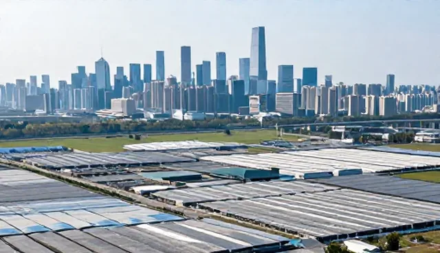 企业信用评估：如何有效使用与维护企业信息查询